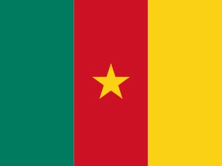 Cameroon flag, representative of Pidgin Cameroonian — document translation services