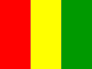 Guinea flag, representative of Malinke — document translation services