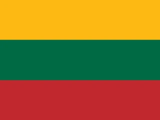 Lithuania flag — document translation services