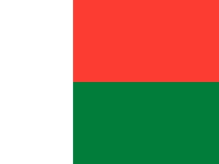 Madagascar flag, representative of Malagasy — document translation services