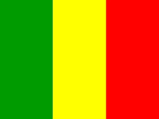 Mali flag, representative of Bambara — document translation services