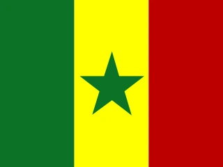 Senegal flag, representative of Pulaar — document translation services