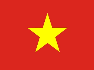 Vietnam flag, representative of Vietnamese — document translation services